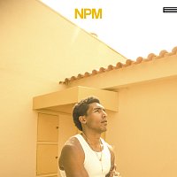 James dos Reis – NPM