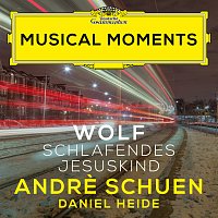 Wolf: Morike-Lieder: No. 25, Schlafendes Jesuskind [Musical Moments]