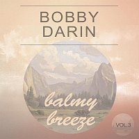 Přední strana obalu CD Balmy Breeze Vol. 3