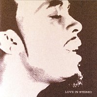 Rahsaan Patterson – Love In Stereo
