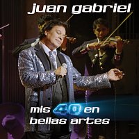 Juan Gabriel – Mis 40 En Bellas Artes [En Vivo Desde Bellas Artes, México/ 2013]