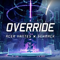 Acer Vantes, Schmack – Override