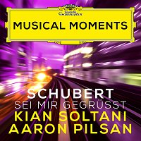 Kian Soltani, Aaron Pilsan – Schubert: Sei mir gegruszt, D. 741 (Transcr. for Cello and Piano) [Musical Moments]