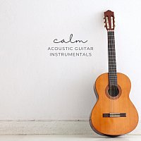 Přední strana obalu CD Calm Acoustic Guitar Instrumentals