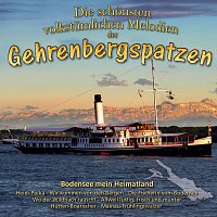 Přední strana obalu CD Die schonsten volkstumlichen Melodien der… Bodensee mein Heimatland