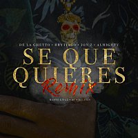 De La Ghetto – Sé Que Quieres (feat. Brytiago, Jon Z & Almighty) [Remix]