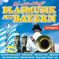 Různí interpreti – So schon klingt Blasmusik aus Bayern