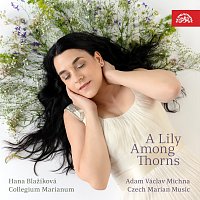 Přední strana obalu CD Michna: Česká mariánská muzika - Lilium mezi trním