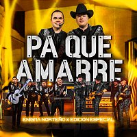 Pa Que Amarre [En Vivo]