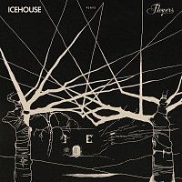 ICEHOUSE – ICEHOUSE Plays Flowers Live