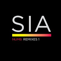 Sia – Numb Remixes 1