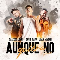 David Cava, Juan Magán, Salcedo Leyry – Aunque No Quiera [Remix]