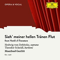 Hedwig von Debitzka, Theodor Scheidl, Unknown Orchestra, Manfred Gurlitt – Verdi: Il Trovatore: Sieh' meiner hellen Tranen Flut [Sung in German]