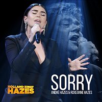 Sorry [Holland Zingt Hazes]