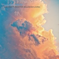 Různí interpreti – Chillout Harmony: Calming Tunes for Balanced Living