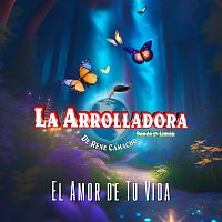 La Arrolladora Banda El Limón De René Camacho – El Amor De Tu Vida