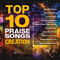 Různí interpreti – Top 10 Praise Songs: Creation