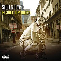 Shota, Heavy-K – Ngicel'ukbuza