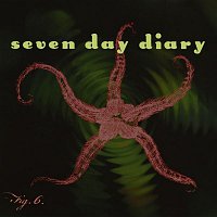 Seven Day Diary – Fig. 6