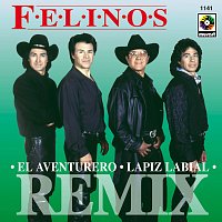 Los Felinos – Felinos Remix