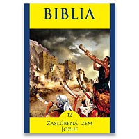 Rudolf Pepucha, Vladimír Jedľovský, Anton Vaculík, Štefan Kožka – Biblia 12 / Bible 12