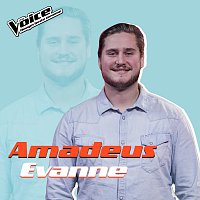 Amadeus Evanne – You Are The Reason [Fra TV-Programmet "The Voice"]