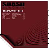 Různí interpreti – Shash Compilation One