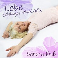 Přední strana obalu CD Lebe (Schlager-Maxi-Mix)