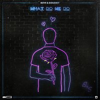 Boye & Sigvardt – What Do We Do