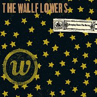 The Wallflowers – Bringing Down The Horse