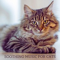 Soothing Music for Cats