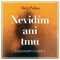 Různí interpreti – Palán: Nevidím ani tmu. Rozhovory o naději MP3