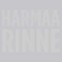 Teflon Brothers – Harmaa Rinne