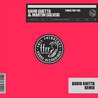 David Guetta & Martin Solveig – Thing For You (David Guetta Remix)