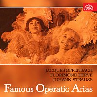 Různí interpreti – Árie ze světových operet (Jacques Offenbach, Florimond Hervé, Johann Strauss)
