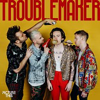 Picture This – Troublemaker