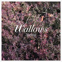 Wallows – These Days