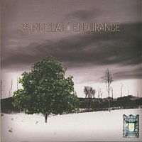 Sorin Zlat – Endurance