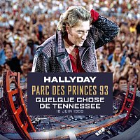 Johnny Hallyday – Quelque chose de Tennessee [Live au Parc des Princes / 18 juin 1993]