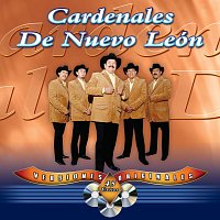 Cardenales De Nuevo León – 45 Éxitos [Versiones Originales]