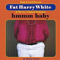 Fat Harry White, The Love Limited Orchestra – Hmmmm Baby