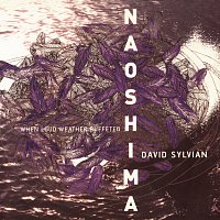 David Sylvian – When Loud Weather Buffeted Naoshima