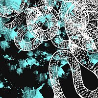 Přední strana obalu CD Mantra Medusa