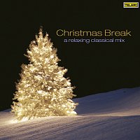 Různí interpreti – Christmas Break: A Relaxing Classical Mix
