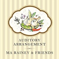 Různí interpreti – Auditory Arrangement
