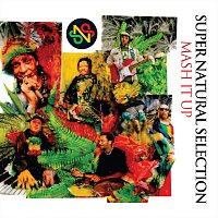 Přední strana obalu CD Mash It Up