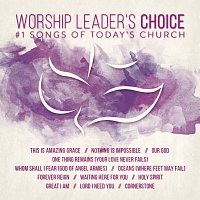 Různí interpreti – Worship Leader's Choice