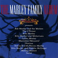 Různí interpreti – The Marley Family Album
