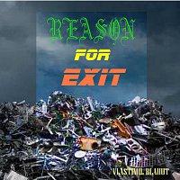 Vlastimil Blahut – Reason for exit FLAC
