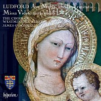 Přední strana obalu CD Ludford: Missa Videte miraculum; Ave Maria, ancilla Trinitatis etc.